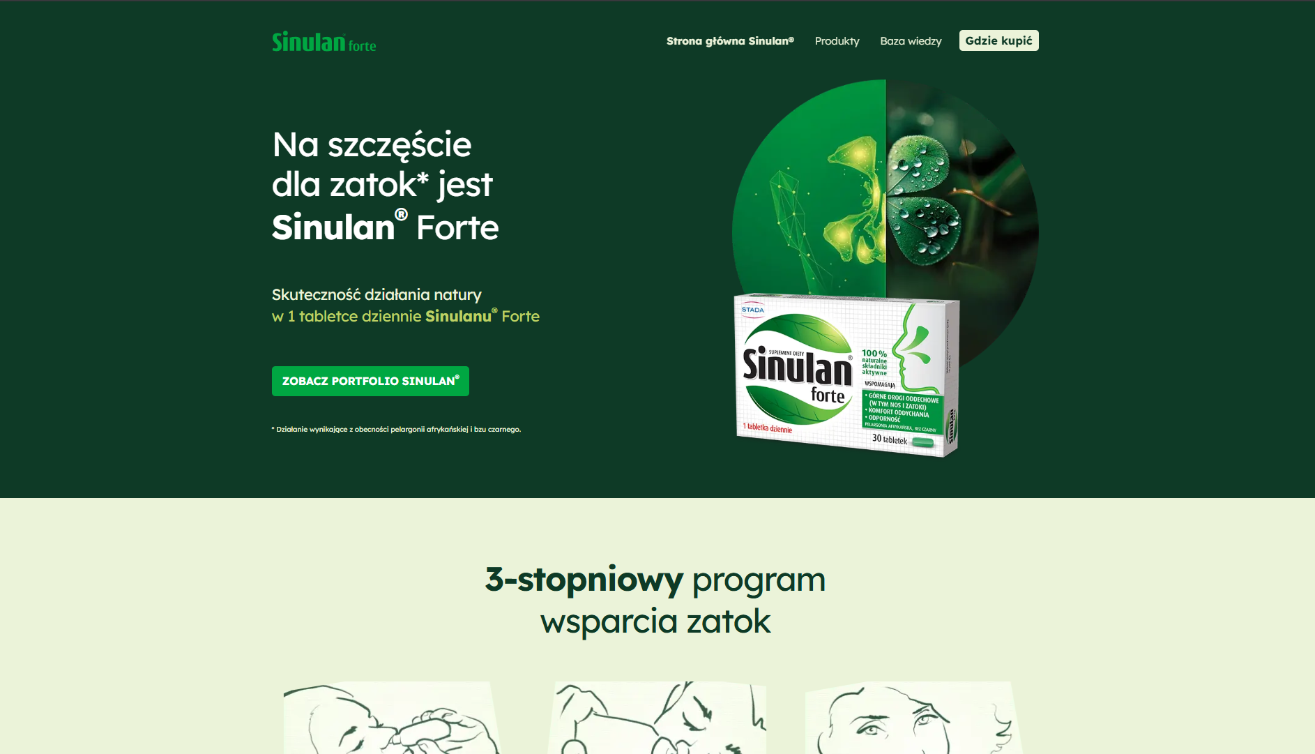 Zrzut ekranu: Sinulan
